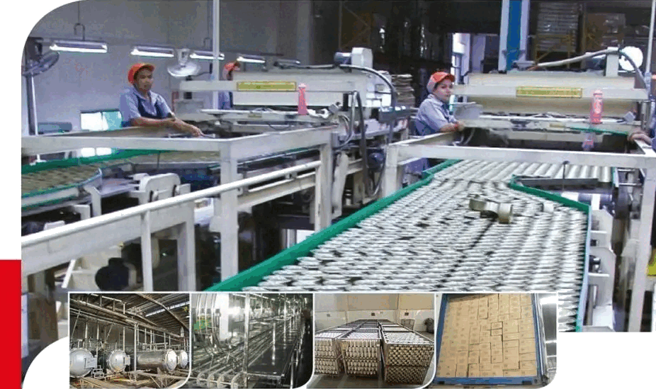 Wholesale canned fish selection